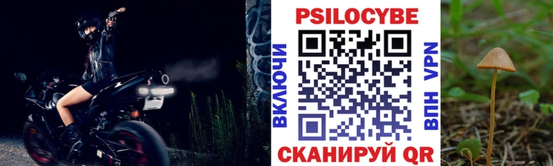 Галлюциногенные грибы Cubensis Беломорск